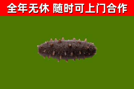 大祥烟酒回收干海参.jpg